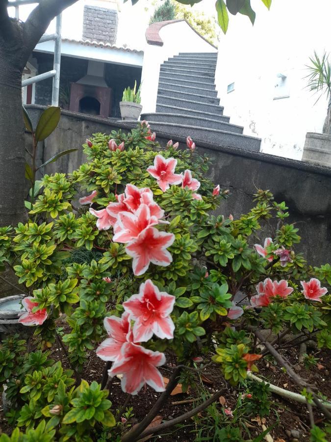 Paraiso Resiliente Santana  Esterno foto